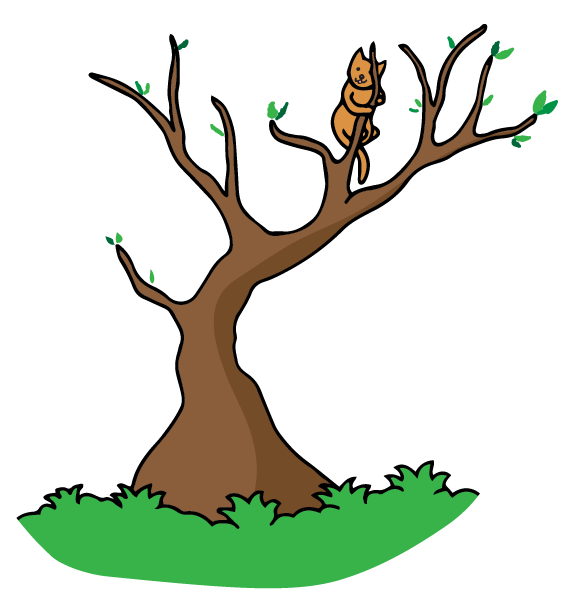 A cat stuck in a tree.